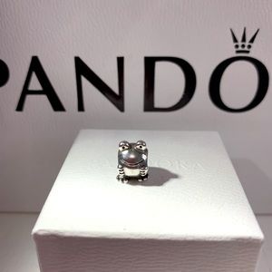 ❤️Pandora Frog Charm